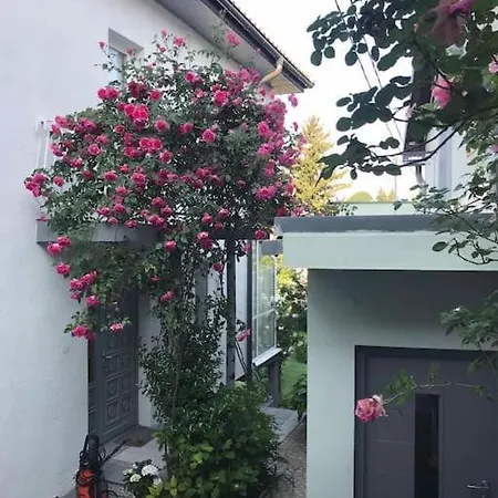 בית נופש Downtown House With Garden *